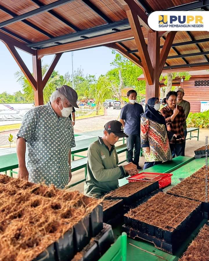 Menteri Basuki Tinjau Konservasi Hutan Mangrove Tahura Pasca Ktt G Di